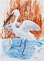 Egret
2008, acrylic on paper, 30 x 22.5 inches
© Copyright 2009 Robert Warrens